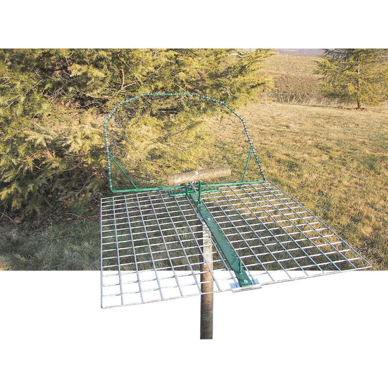 Boxtrap - Piège à filet pour oiseaux sur poteau, grand modèle