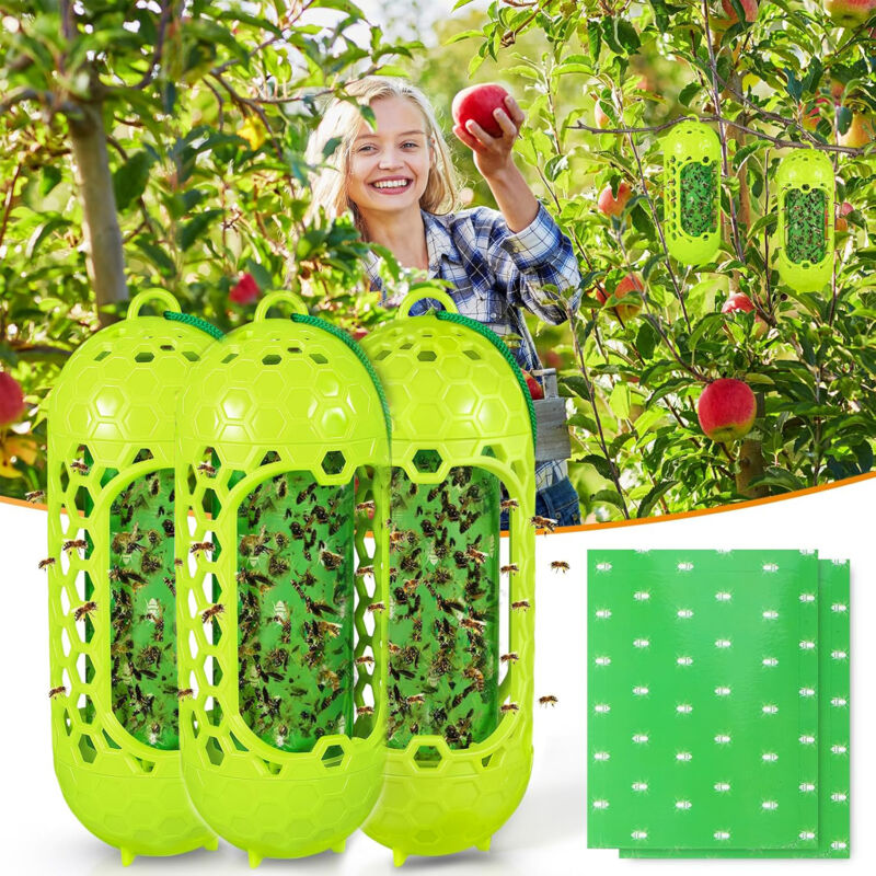 Aiperq - Piège à guêpes collant pour l'extérieur, lot de 3