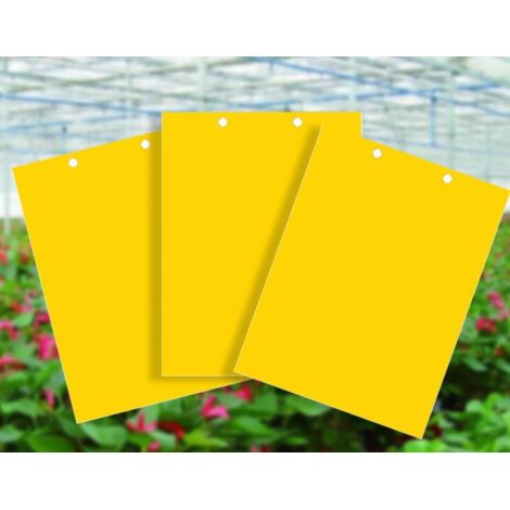 Piège à insectes, pièges collants double face, papier anti-mites pour jardin à thé, verger, serre, jardinage, mineur, pot de fleurs, jardin et balcon (2025cm) 50pcs