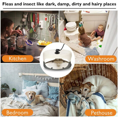 Piège à Puces Dome Collant pour Puces et Punaises avec 2 Cartes de Capture, non Toxique et Inodore, Lumière Attractive et Sécurisé pour Enfants et Animaux