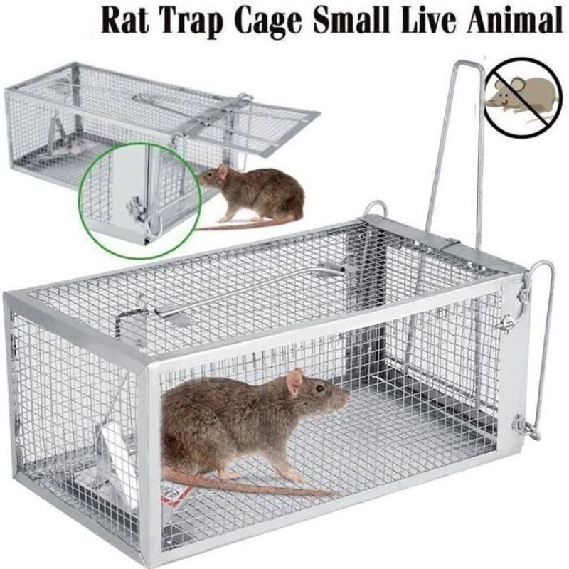 Piège à rats professionnel - Cage à souris pour capturer souris, mulots et loirs 26,2 x 14 x 11,4 cm