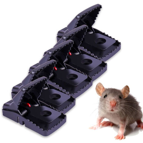 Attrape Souris A Prix Mini