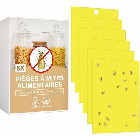 Pièges à Mites Alimentaires Lot de 6 Anti Mite Alimentaire Produit Puissant Piège Collant pour Cuisine Et Placard Piège à Phéromones Efficace Non Toxique