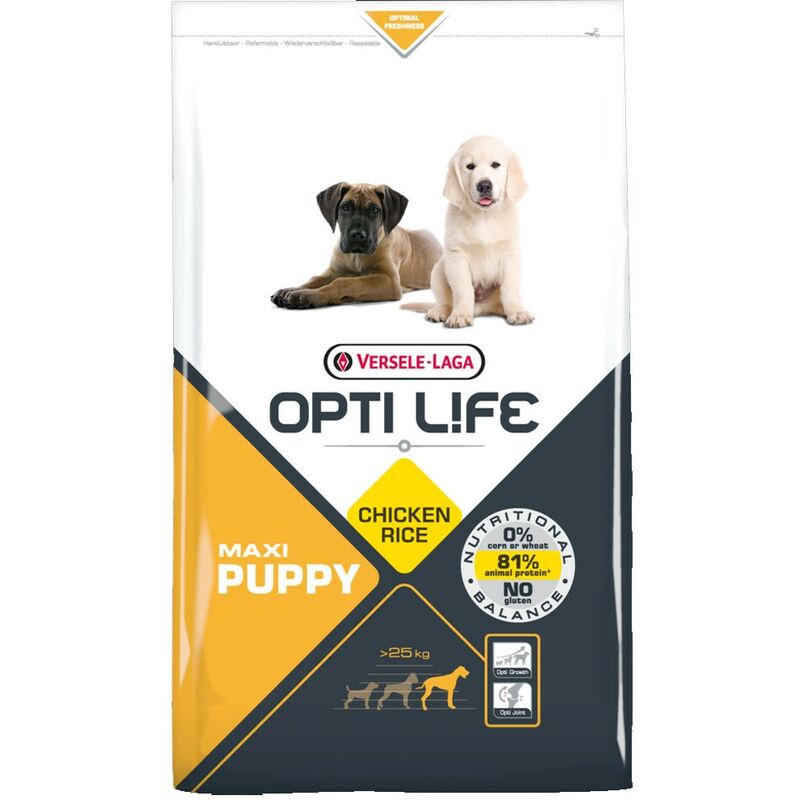 

Pienso para perros Opti Life Puppy Maxi con pollo y arroz | Pienso para cachorros de raza grande Versele Laga | Comida para perros 12,5 kgs