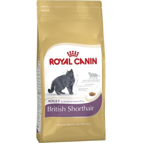 Pienso ROYAL CANIN BRITISH SHORTHAIR para gatos adultos - 2Kg