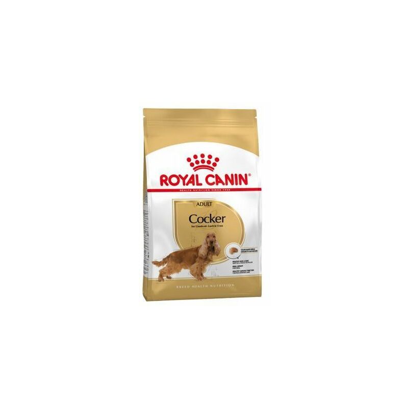 

Pienso COCKER ADULT perros de raza Cocker Spaniel, Inglés o Americano, adulto y maduro (A partir de los 12 meses) - 3Kg - Royal Canin