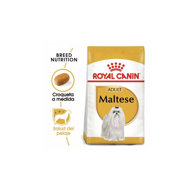 

Maltese Adult pienso para perro adulto Maltés Saco de 1,5 Kg - Royal Canin