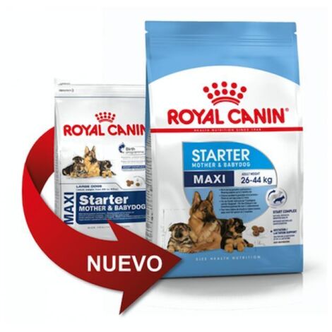 Pienso ROYAL CANIN MAXI STARTER cachorros tamaño grande (Hasta 2