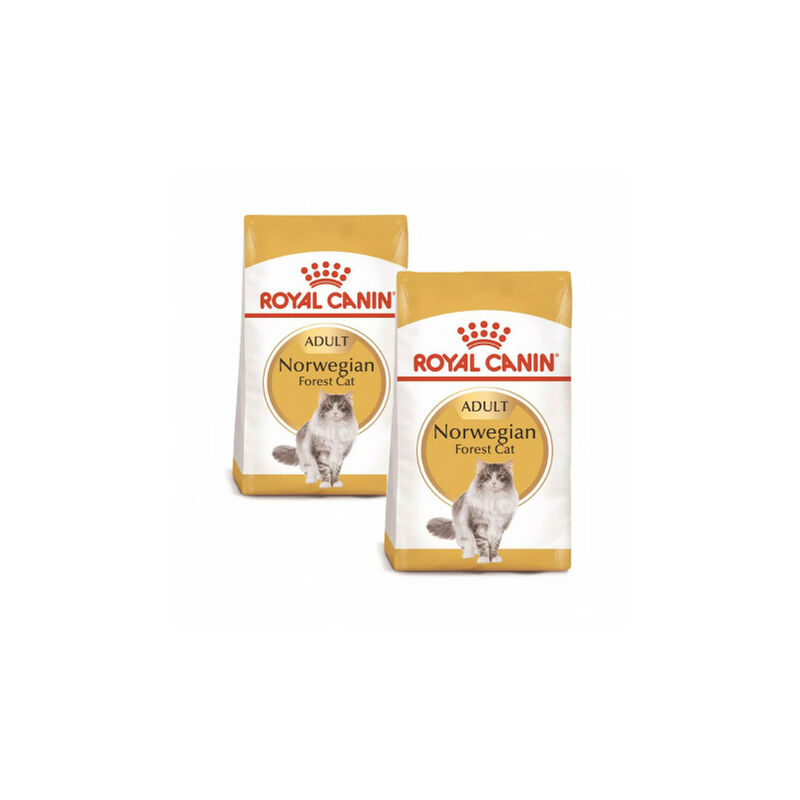 

Norweigan Forest pienso para gato adulto Bosque de Noruega Saco de 10 Kg - Royal Canin