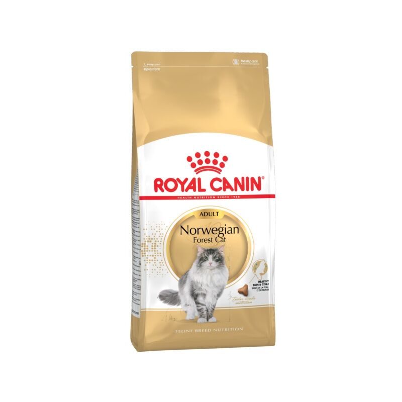 

Pienso NORWEGIAN FOREST CAT para gatos 'Bosque de Noruega' - 2Kg - Royal Canin