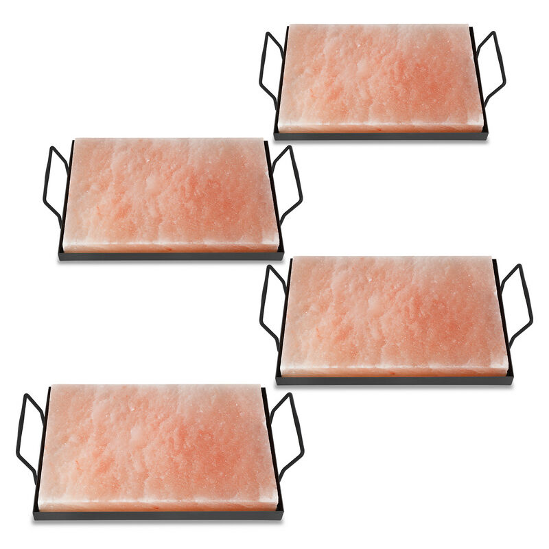 Jopassy - Pierre à sel avec support Pierre à sel pour barbecue xl bbq Set 30x20x3cm Plaque à sel pour repas 4X