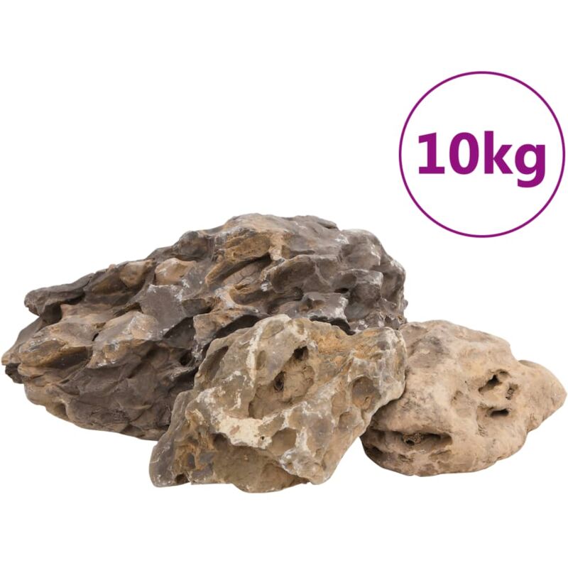 Pierres du dragon 10 kg gris 10-40 cm - Vidaxl