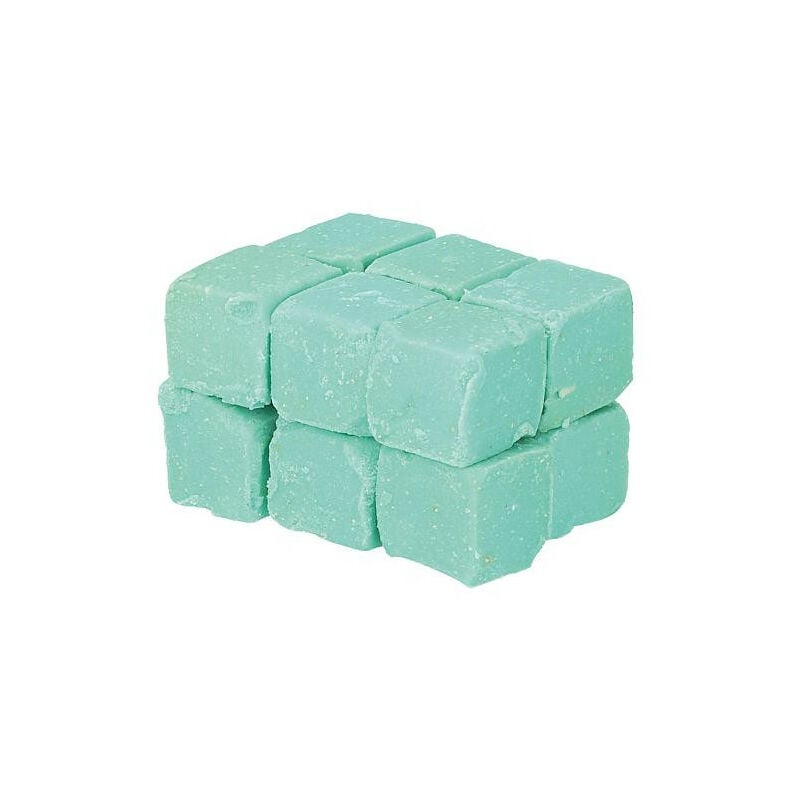 Pierres pour urinoir avec enzymes sachet de 12