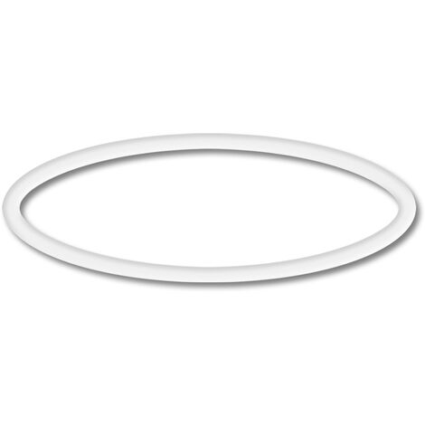 Pieza de repuesto: SunSun CPP-10000F Bomba de piscina O-Ring 2