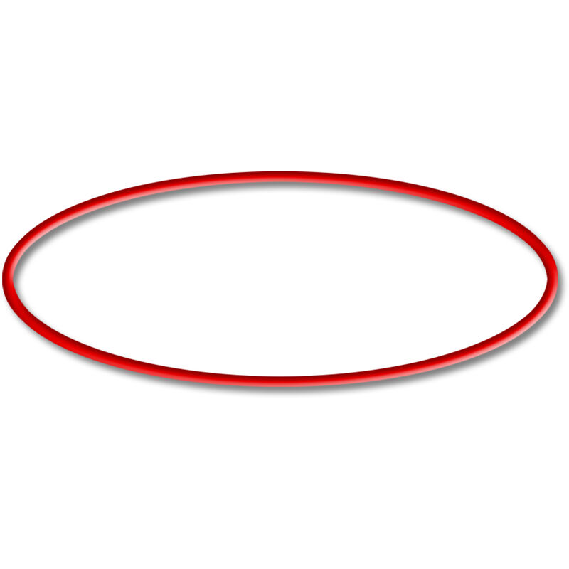 

Pieza de repuesto: CSF-500 Pond Sand Filter O-Ring 1 - Sunsun