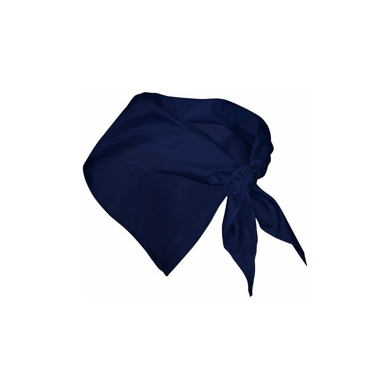 

Pieza de tejido fino de forma triangular FESTERO PN9003 (100 Unds) | Azul Marino - UNICA