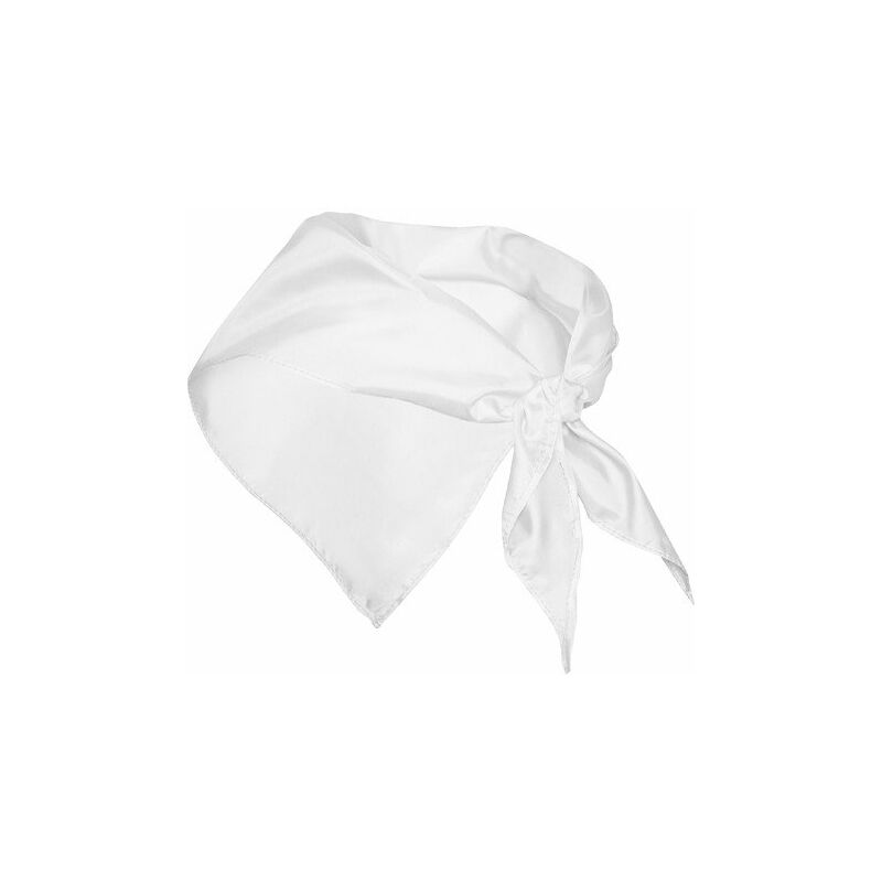 

Roly - Pieza de tejido fino de forma triangular FESTERO PN9003 (100 Unds) | Blanco - UNICA