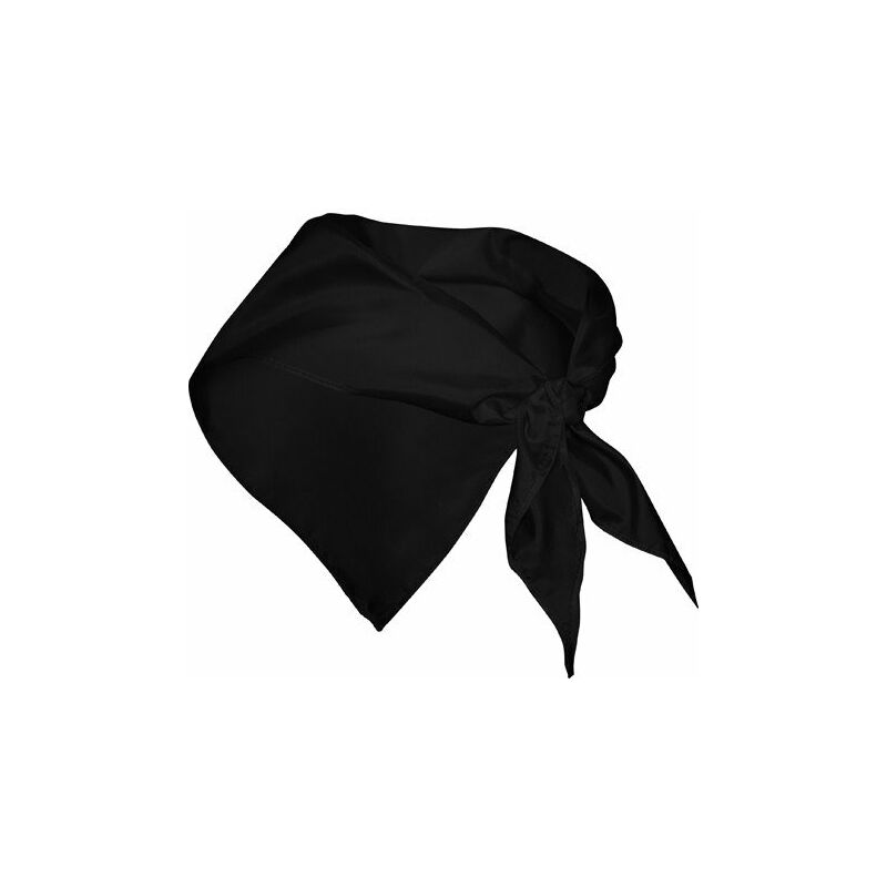 

Roly - Pieza de tejido fino de forma triangular FESTERO PN9003 (100 Unds) | Negro - UNICA