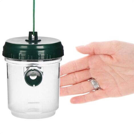 pige En Plastique (vert Transparent 13cm), Pige  Gupes Suspendu - Pige  Vie Pour Gupes, Mouches Et Frelons - Efficace Contre Les Gupes