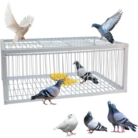 Pigeon cage, pigeon trap with 4 one-way entrances on each side and 1 roof window for pigeons, parrots, parakeets and other birds - 63 x 43 x 26 cm