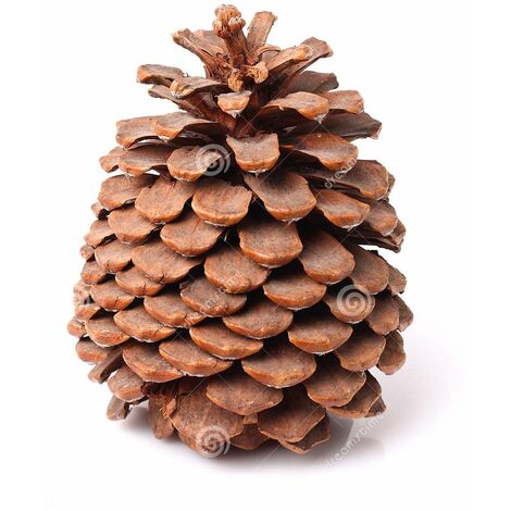 Pigna per albero di natale 300 g decorazione natalizia da 8 cm -Marrone