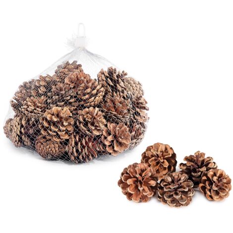 Pigne Decorative Naturali, Addobbi Natalizi, Confezioni Regalo, Lavori Fai da Te