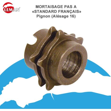 PIGNON 4 DENTS 13-20X40-A-3X3