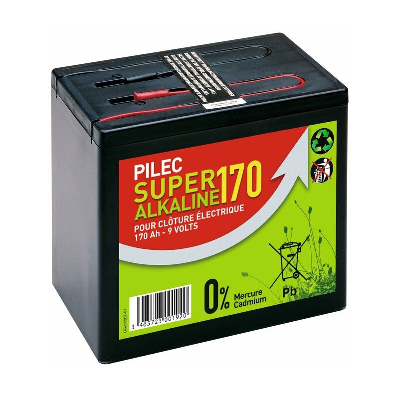 Chapron Lemenager - Pile alcaline 9 v 170 Ah