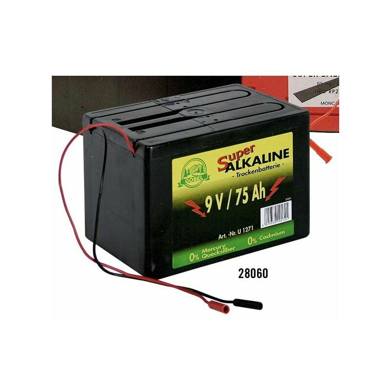 Pile alcaline 9V 75Ah très résistante