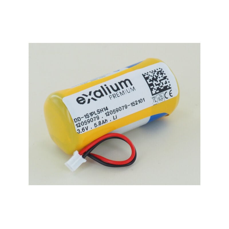 Pile Lithium 3.6V 5.8Ah pour dmbv tyxal+ Delta Dore