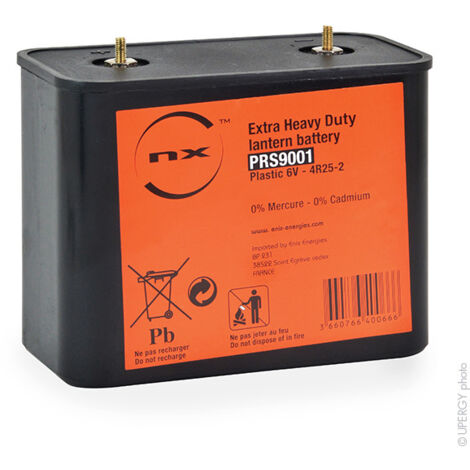 Pile porto 4R25-2 6V Saline coque plastique