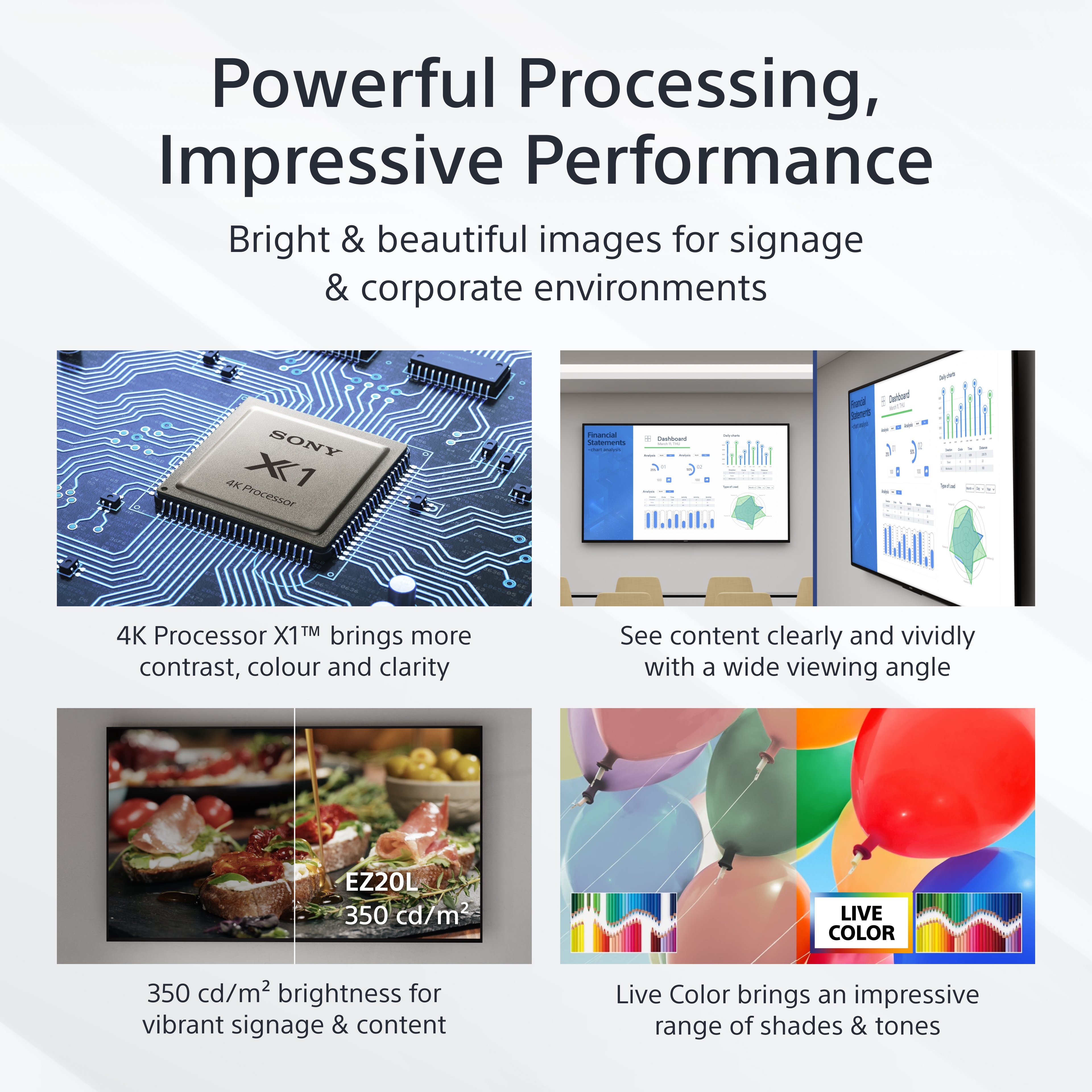 Image relative au SONY Sony Bravia Professional