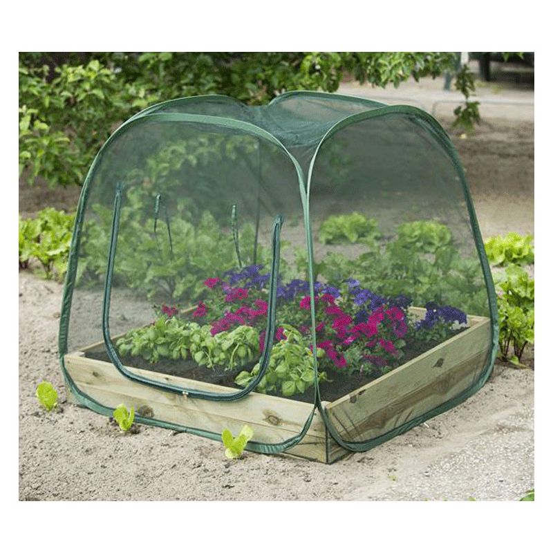 WHAMVOX Filet/Cage à Insectes Rose – Cage D’observation Transparente, Légère, Pour Chenilles Et Papillons