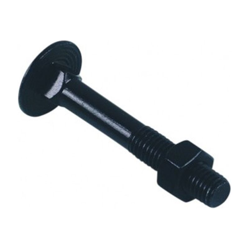 Vis Et écrou 316L - CAB BTRCC6X20, Qualité Marine, Inox