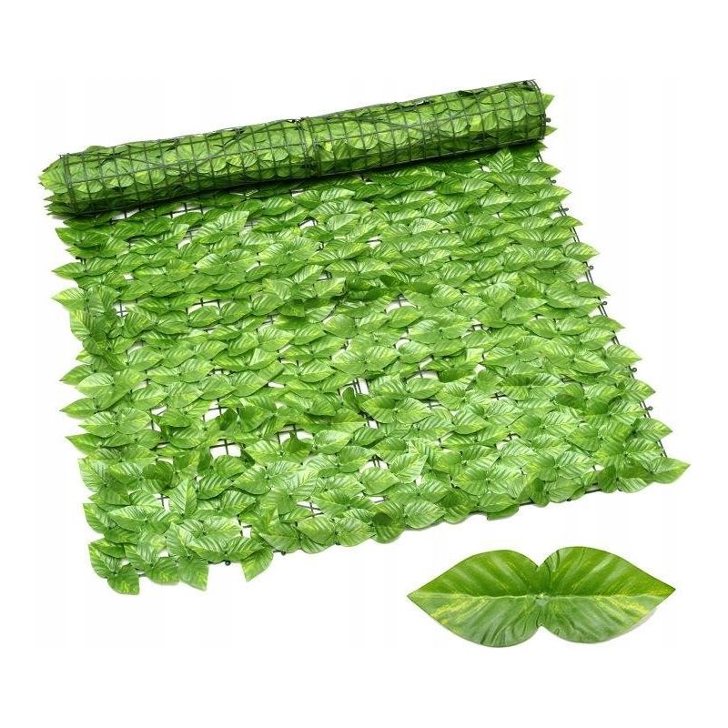 drachenbaum kaufen obi Drachenbaum kaufen - Dracaena Marginata Zimmerpflanze Ø:21 H:120 cm