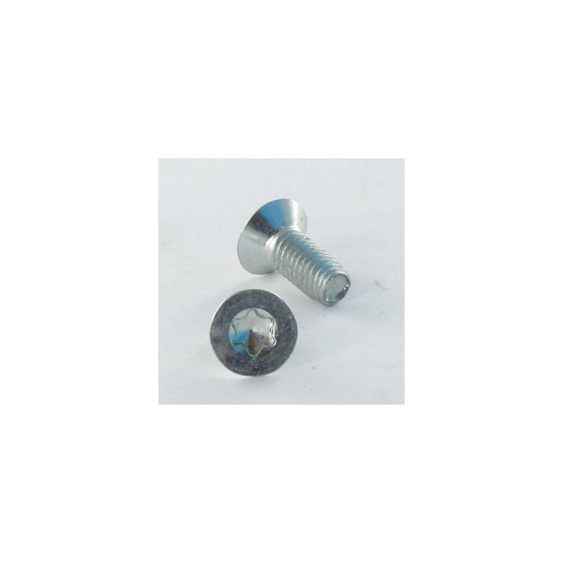 Vis Autotaraudeuses Torx INOX A2 – T30 – CSK Tête Fraisée – Pin Tamper Proof – N°14 – Lot Au Choix