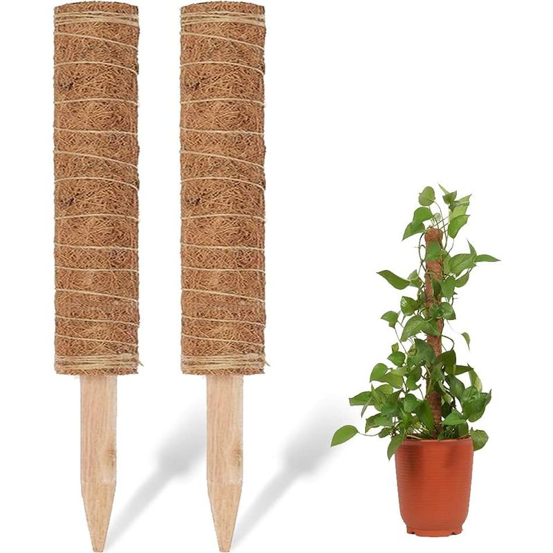 Kokos Rankstab 110 cm natur - 2 Stck - Pflanzstab fr Zimmerpflanzen   Blumen Pflanz Stab Topf Rankhilfe Kletterhilfe Kokosstange fr  Kletterpflanzen