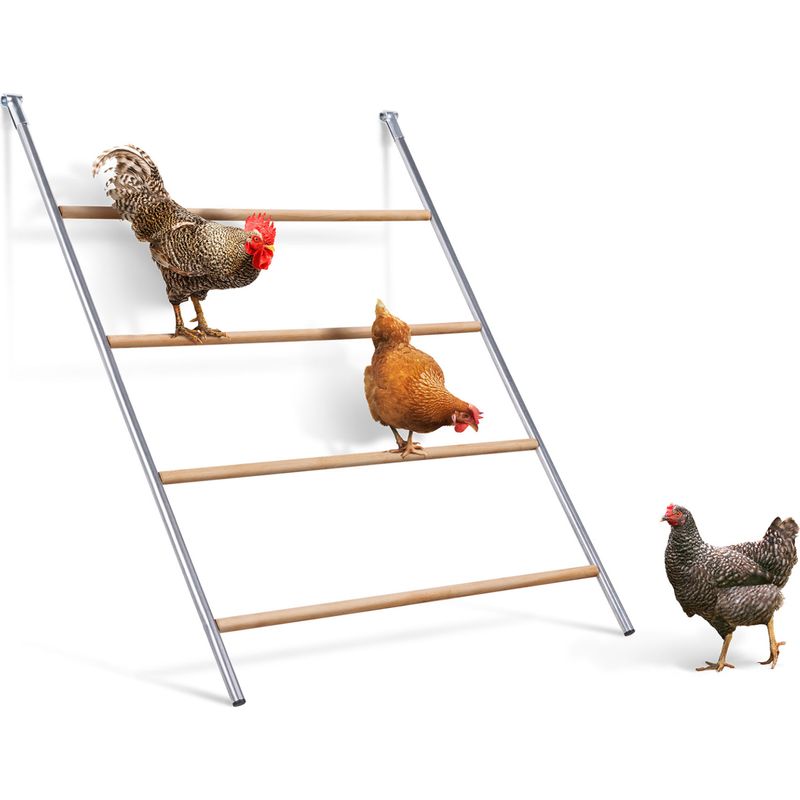 Balançoire En Bois Pour Poules – Perchoir, Grimpe, Clochette – Enrichissement Volaille – 45x30x2 Cm