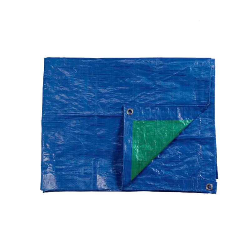 Edm Blau - Schutzplane /Grün - Metallösen - 90 G/M2 - 3 X 4 M