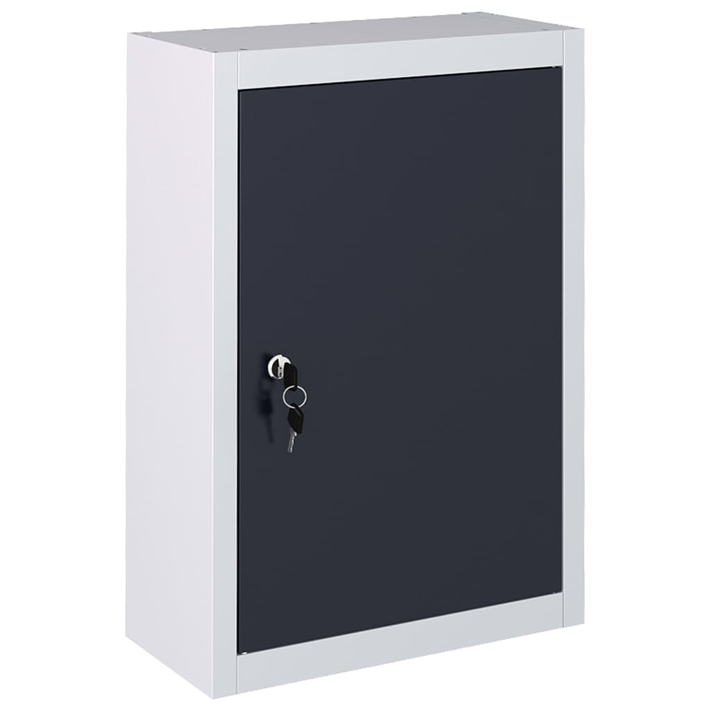 Armoire à outils murale en métal, étagère réglable, plaque perforée trous Euro, porte verrouillable, 40 x 19 x 60 cm