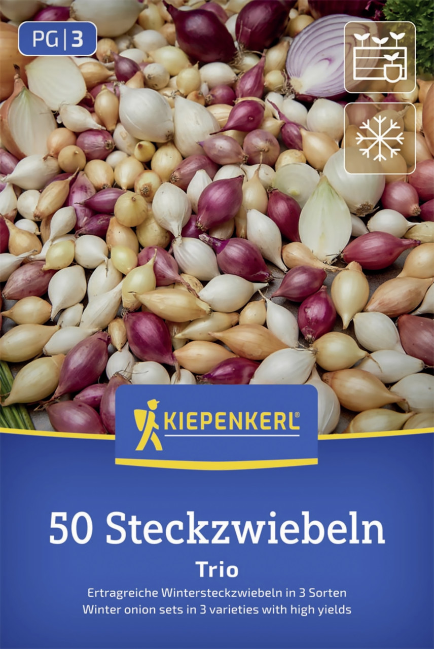 Kiepenkerl Wintersteckzwiebel Trio-Mix 50 Stück - Image 2
