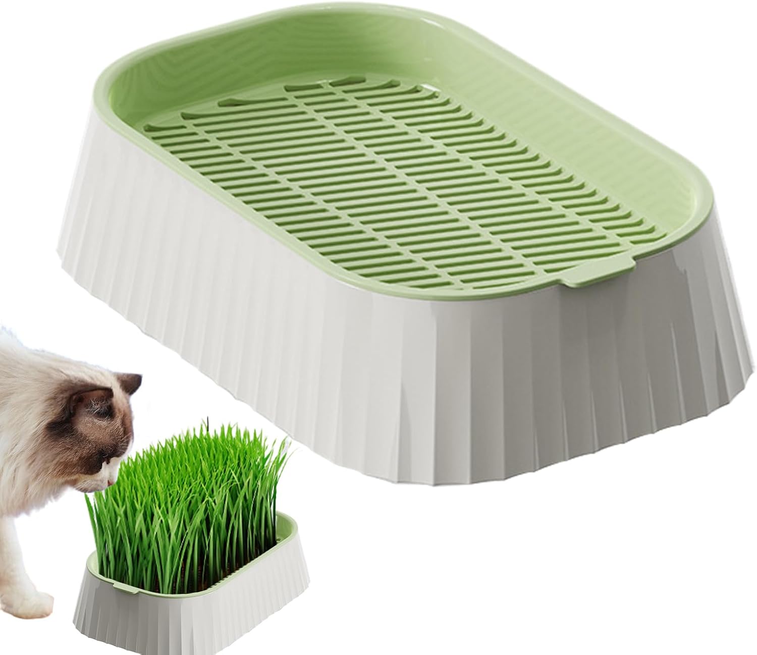 Punnyb Katzengras Pflanzgefäß Hydrokultur Doppellagige