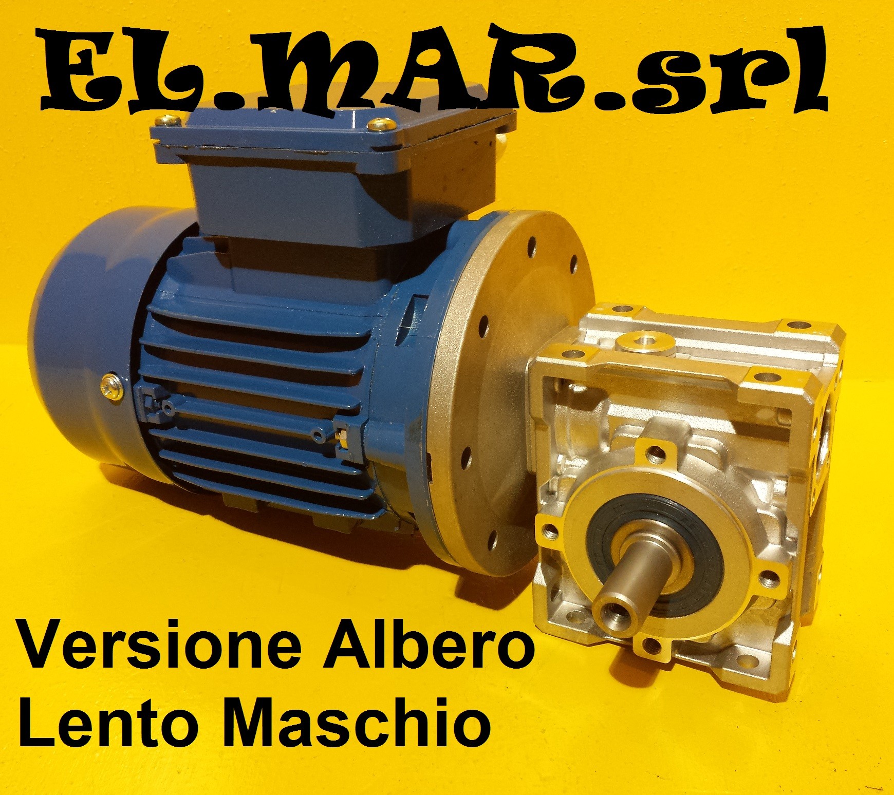 Hp 0,12 Kw 0,09 Motoriduttore Vite Senza Fine Monofase  Albero Maschio  - 280 Giri ALTRO