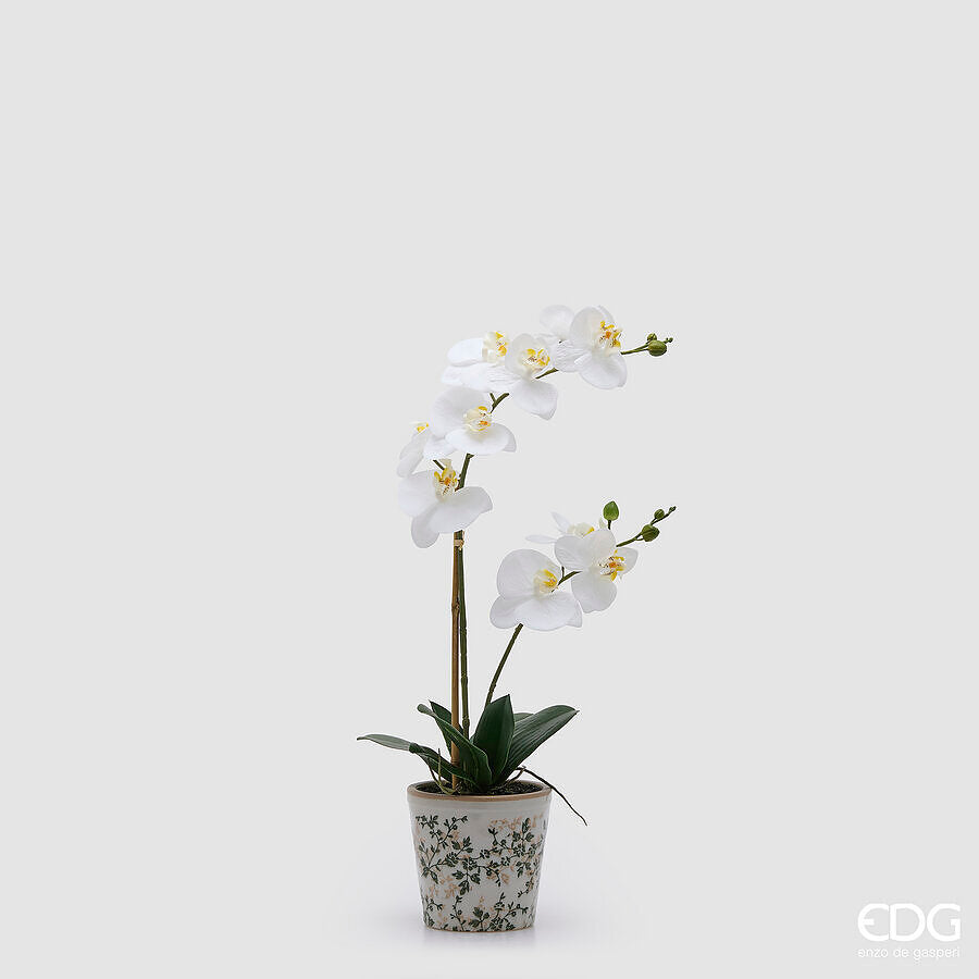 Edg Enzo De Gasperi Orchidea Phalaenopsis X2 Con Bocciolo E Vaso Pi...