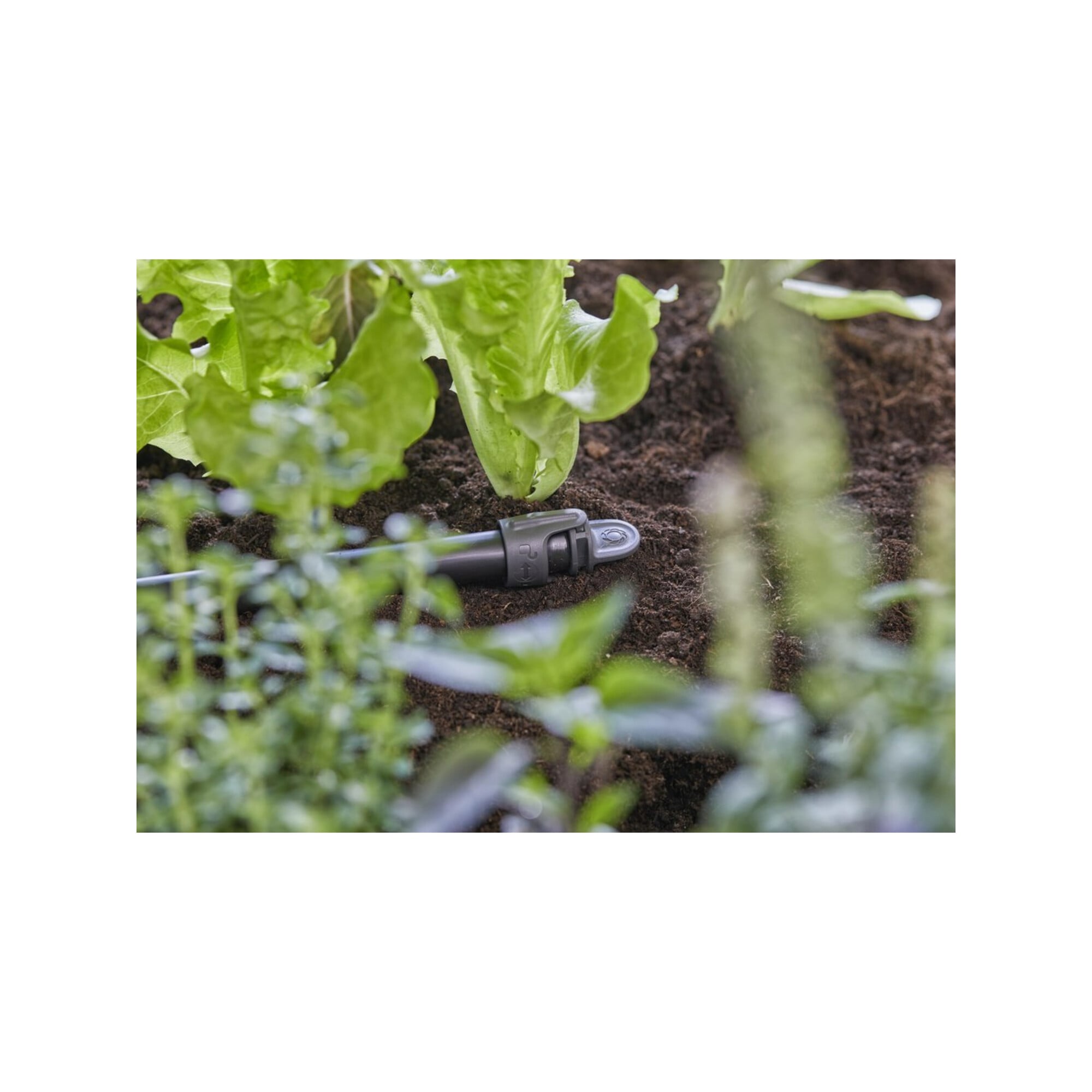 Gardena Plug, Rohrenden-Stecker, Tropfbewässerungssystem, Kunststoff, Schwarz, Buchse, 13 mm - Image 5