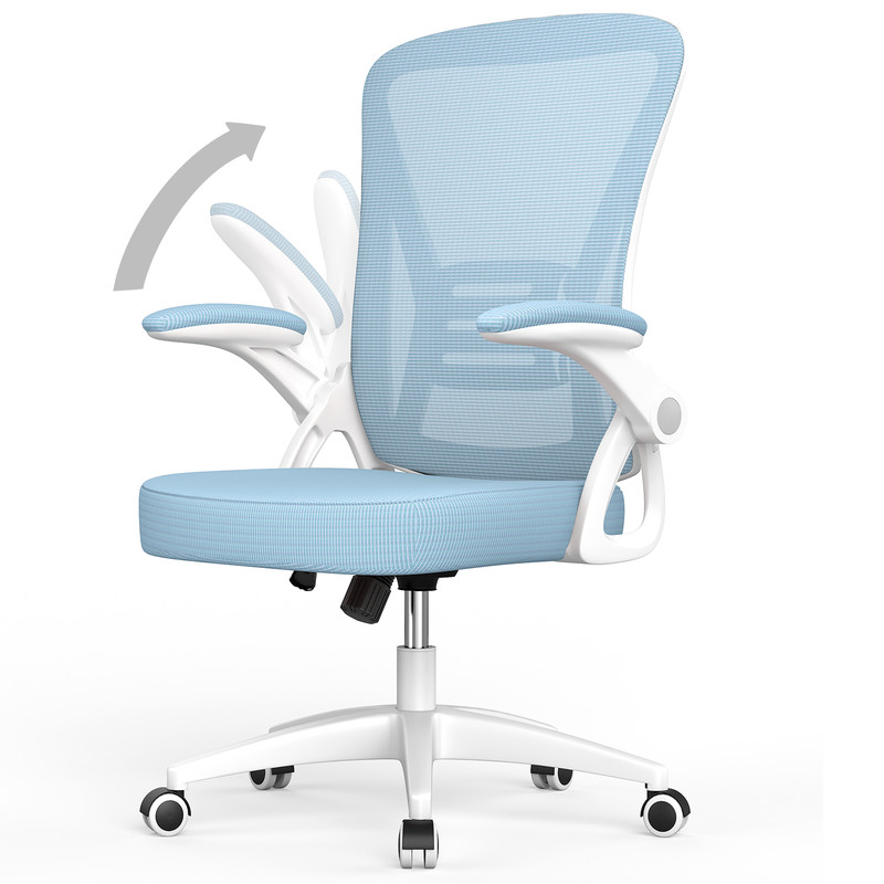 Chaise De Bureau Ergonomique - À Roulette - Soutien Lombaire Dossier