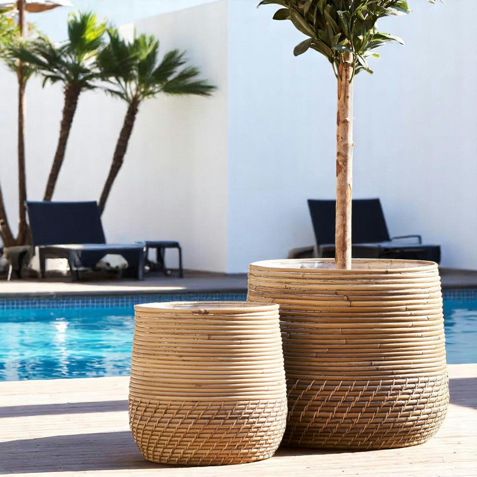 Cache-pot En Rotin Pour Grandes Plantes (lot De 2)