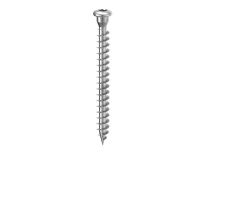 Lbs Vite A Testa Tonda Per Piastre 7x80 Mm.