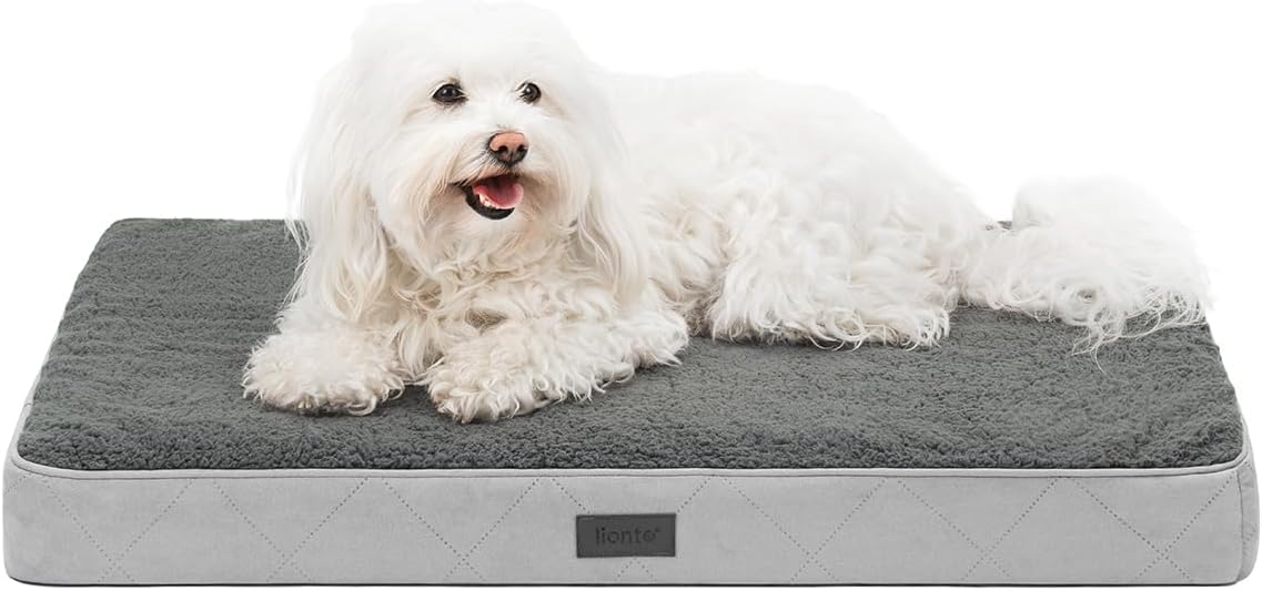 Aiailikill Orthopädisches Hundebett, 76 X 51 X 8 Cm, Waschbarer Bezug, Rutschfest, Wasserdicht, Für Kleine Und Große Hunde