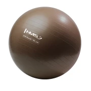 Oem Yb02 Neuer 65Cm Anti-Burst-Gymnastikball Hms